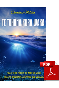 PDF eBOOK: Te Tohuna Kura Waka